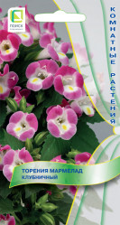 Комнатные цветы Торения Мармелад Клубничный ("К) 5шт (Поиск)