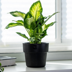 Горшок Алемар VipSet 4,8л черный с дренажной системой