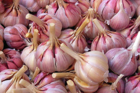 Чеснок озимый Комсомолец фр. 35-55 (вес.)