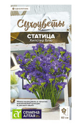 Статица (Лимониум) Статица Хипстер Блю 5шт. (Сем Алт)