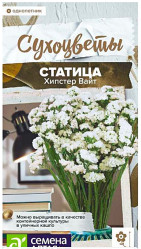 Статица (Лимониум) Статица Хипстер Вайт 5шт. (Сем Алт)