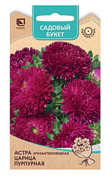 Астра Астра Хризантемовидная Царица пурпурная 0,1г. (Поиск)