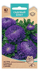 Астра Астра Хризантемовидная Царица синяя 0,1г. (Поиск)