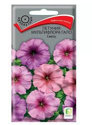 Петуния, комплиментуния, фриллитуния Петуния Гало Смесь 10шт.мультифлора (Поиск)