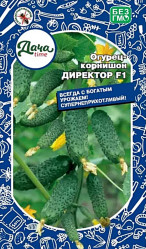 Огурцы Директор F1 Дача тайм
