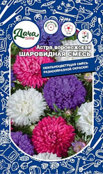 Астра Астра воронежская Шаровидная смесь Дача тайм
