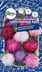 Астра Астра пионовидная Королевский бал Дача тайм