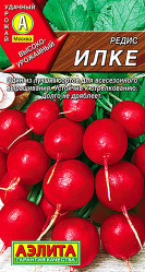 Редис Илке 2г. (Аэлита)