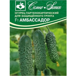 Огурцы Амбассадор F1 5шт.(Семко)