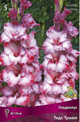 Гладиолус Тедс Трамп 10/12 (5шт./уп.) (Солн.сад)