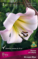 Лилия Истерн Мун (от-гибрид)12/14 (уп 3шт.) (Солн.сад)