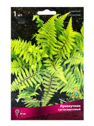Лунокучник густосорусовый ( (1шт./уп.) (Солн.сад)