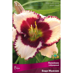 Лилейник гибр. Бодэ Мьюзик (1шт./уп.) (Солн.сад)