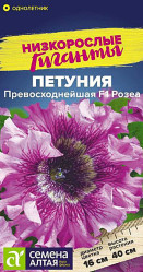Петуния, комплиментуния, фриллитуния Петуния Превосходнейшая Розеа 7шт. (Сем Алт)