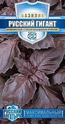 Базилик Русский гигант Фиолетовый 0,1гр. Русский богатырь (Гавриш)