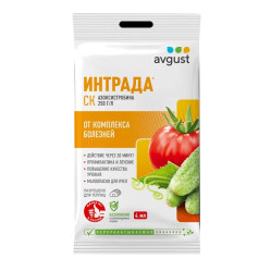 Интрада (пак.4мл.) Август