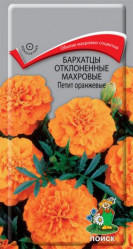 Бархатцы Петит оранжевые откл.махр. 0,4гр. (Поиск)