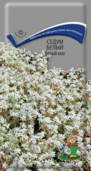 Седум белый Белый мох многол. 0,01гр. (Поиск)