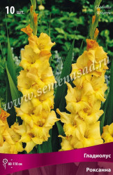 Гладиолус Роксанна 10/12 (10шт./уп.) (Солн.сад)