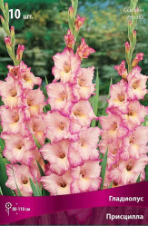 Гладиолус Присцилла 12/14 (10шт./уп.) (Солн.сад)