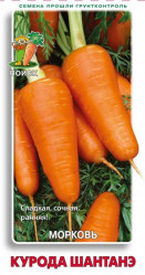 Морковь Курода Шантанэ 2гр. Едим дома (Поиск)