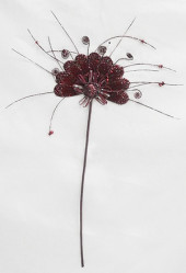 Цветок-веер, красный 10х17 TLN1016