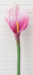 Калла одиночная розовая, h=70 см (CH07700312-Pink) 16-0024