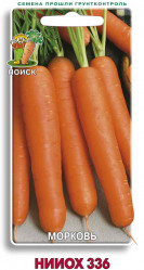 Морковь НИИОХ 336  2гр.  (Поиск)