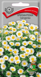 Однолетние цветы - Хризантема Снегурочка 30шт (Поиск)