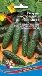 Огурцы Настоящий полковник F1 10шт. (Урал. Дачник)