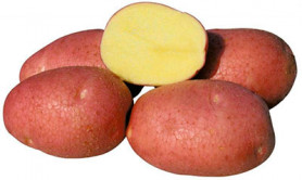Картофель сем.  Беллароза (элита) (2кг./уп.)