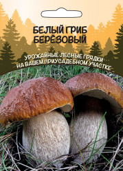 Грибы Белый гриб Березовый 15г/30мл (Урал. Дачник)