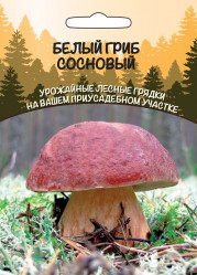 Грибы Белый гриб Сосновый 15г/30мл (Урал. Дачник)