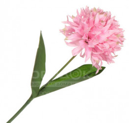 Хризантема одиночная розовая, h=57 см (CH10302105 - PK006) 16-0140