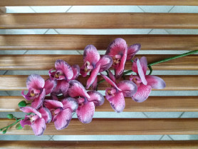 Орхидея малиновая Н90см ВК-237