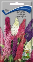 Буддлея Давида Смесь окрасок многол. 10шт. (Поиск)