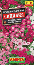 Барвинок Сицилия, смесь сортов (Аэлита)